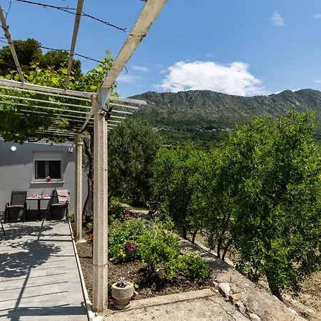 Roza Appartement