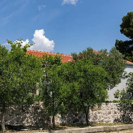 Appartement Roza Mlini