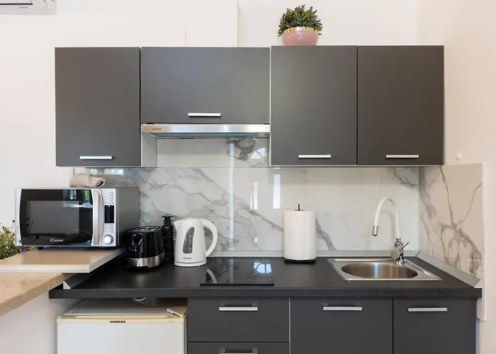 Apartment Roza Mlini